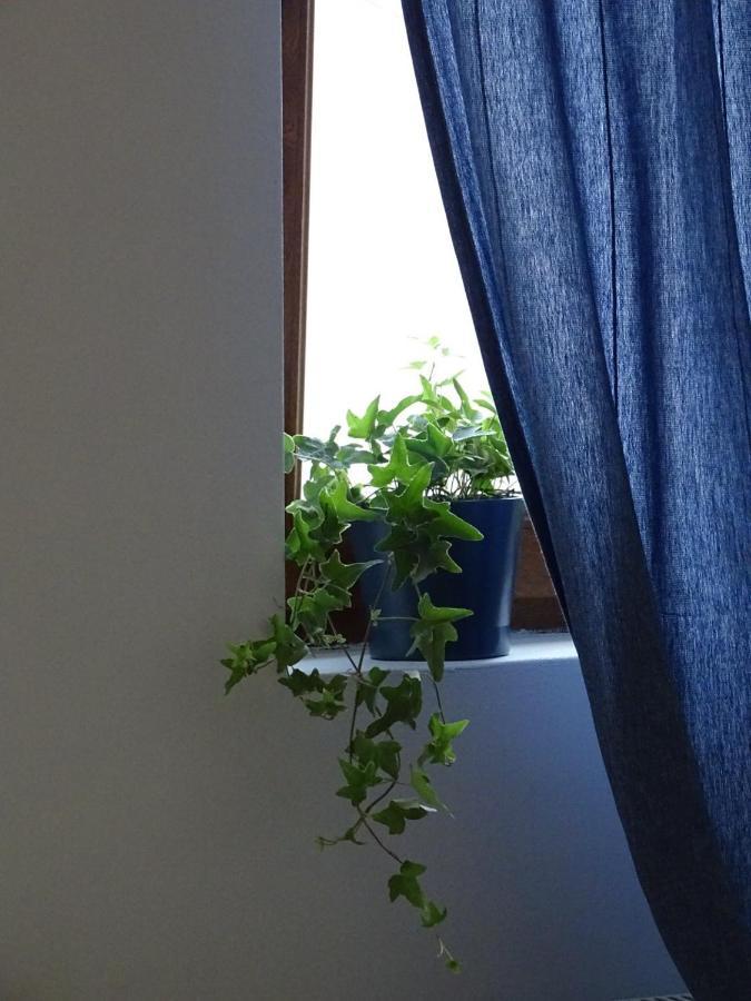 Blue Apartment Belgrád Kültér fotó